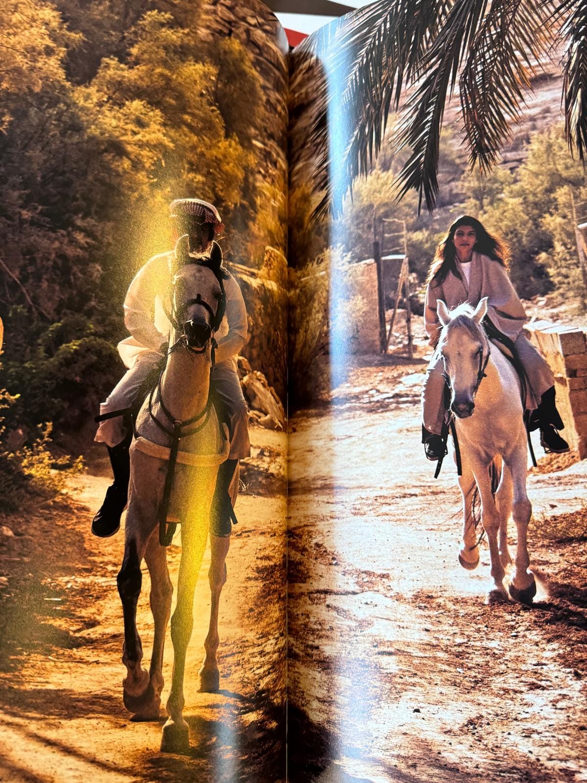 Conscious Leadership]🐴What Horses Taught Me About Leadership