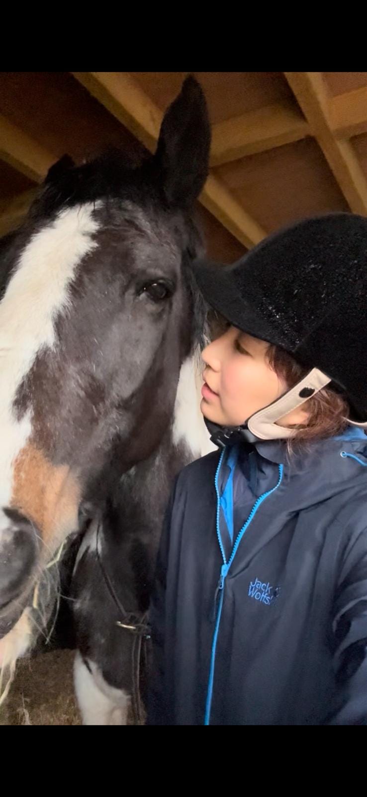 Conscious Leadership]🐴What Horses Taught Me About Leadership