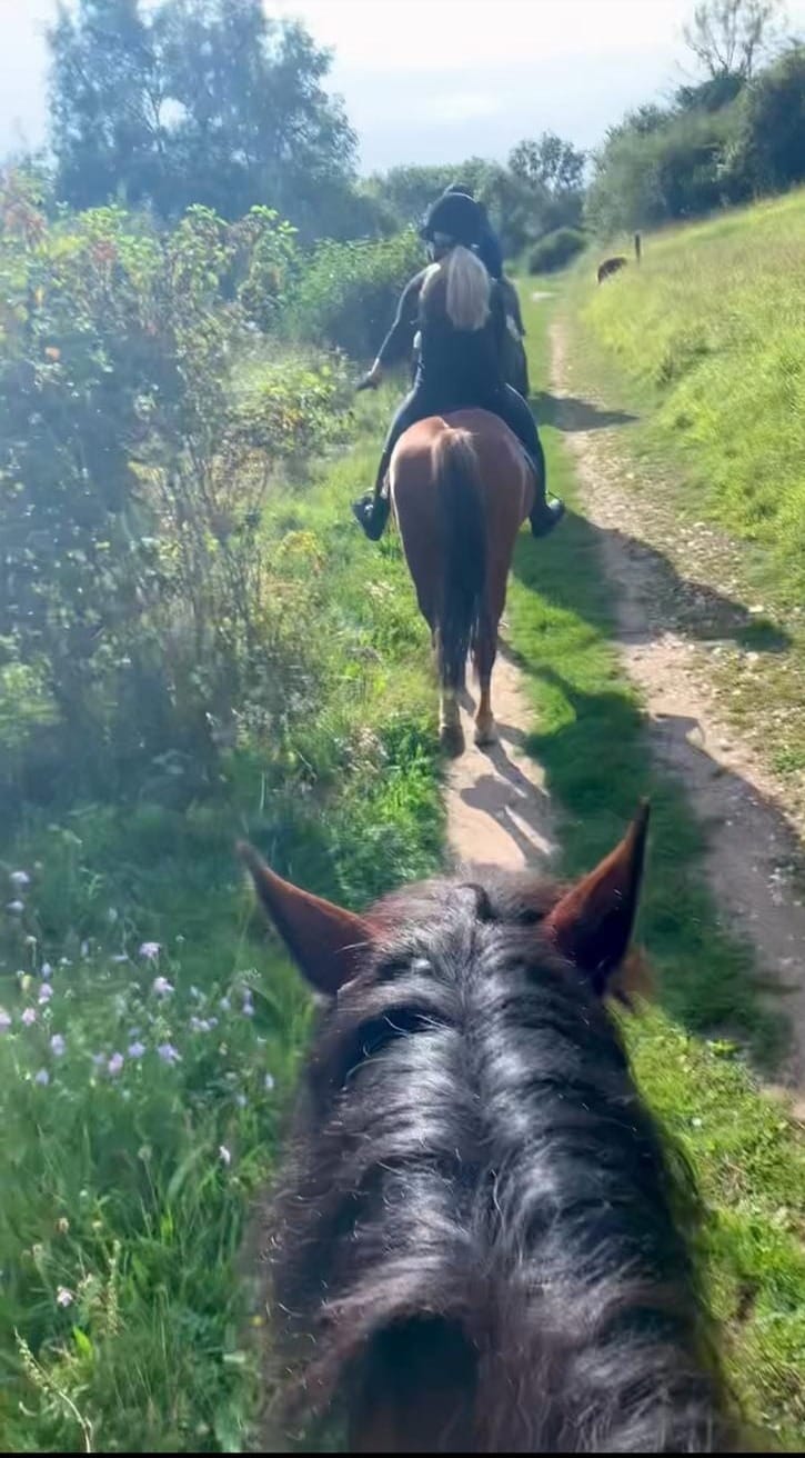 Conscious Leadership]🐴What Horses Taught Me About Leadership