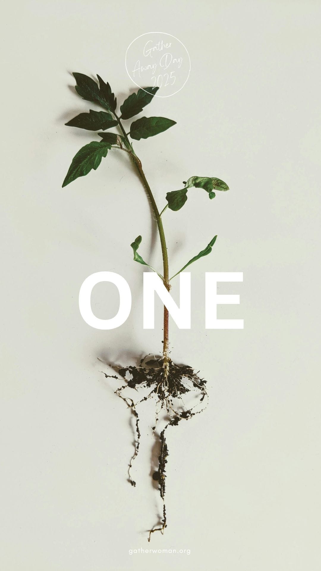 Conscious Leadership] 'Gather' Retreat - The Architecture of Belonging: On Community and the Future We’re Building (Oct 18, 2025)