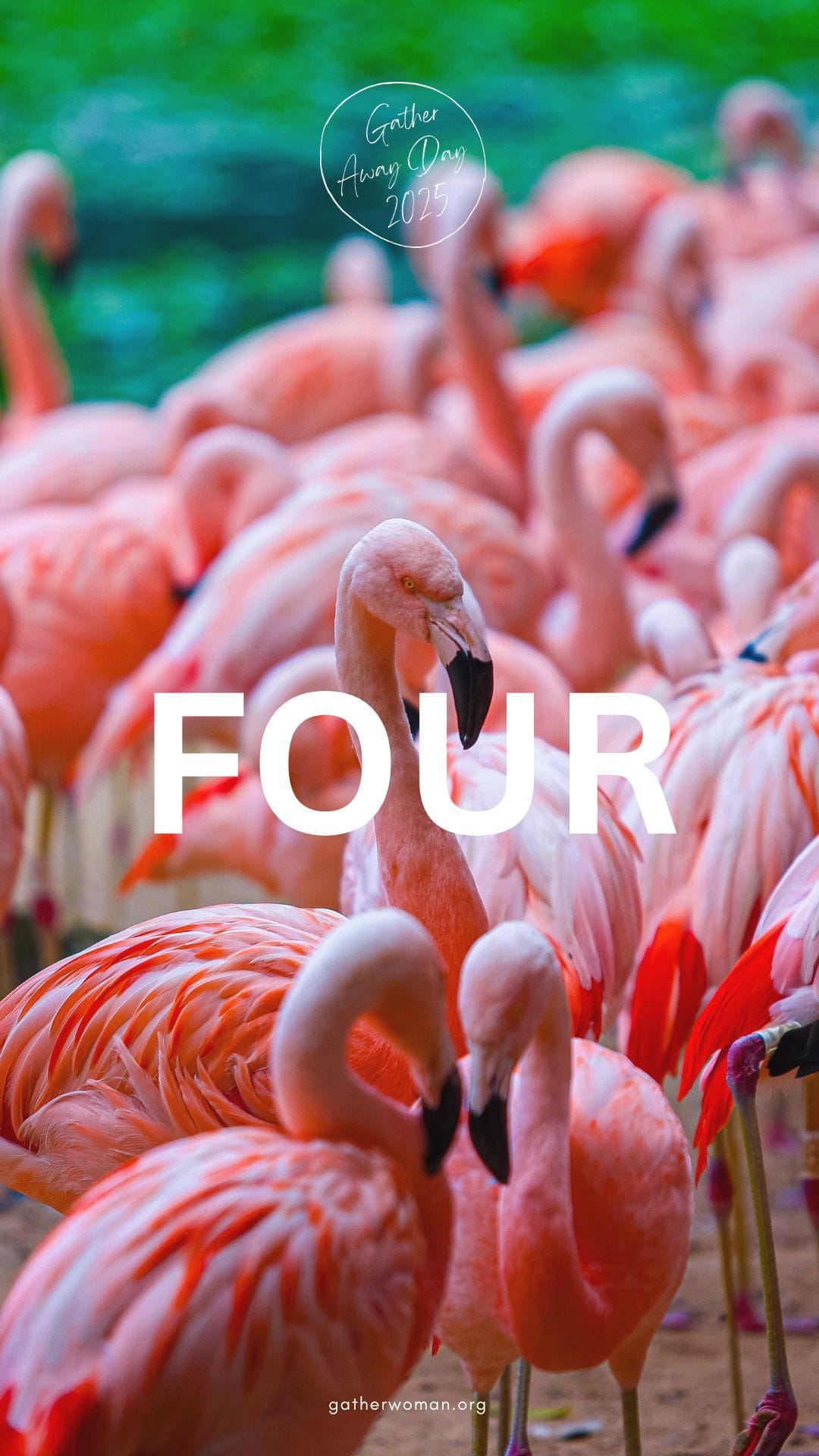 Conscious Leadership] 'Gather' Retreat - The Architecture of Belonging: On Community and the Future We’re Building (Oct 18, 2025)