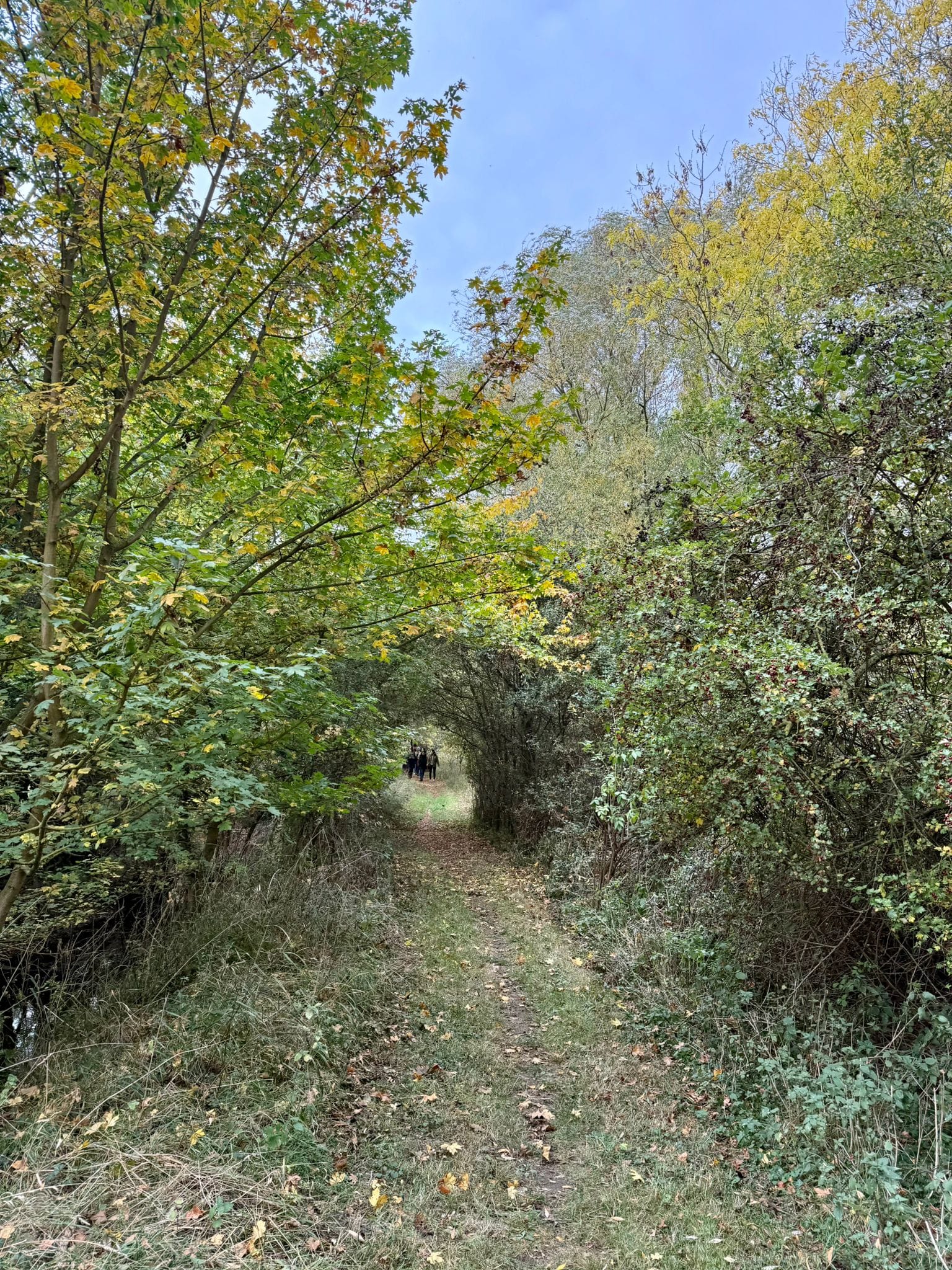 Conscious Leadership] 'Gather' Retreat - The Architecture of Belonging: On Community and the Future We’re Building (Oct 18, 2025)