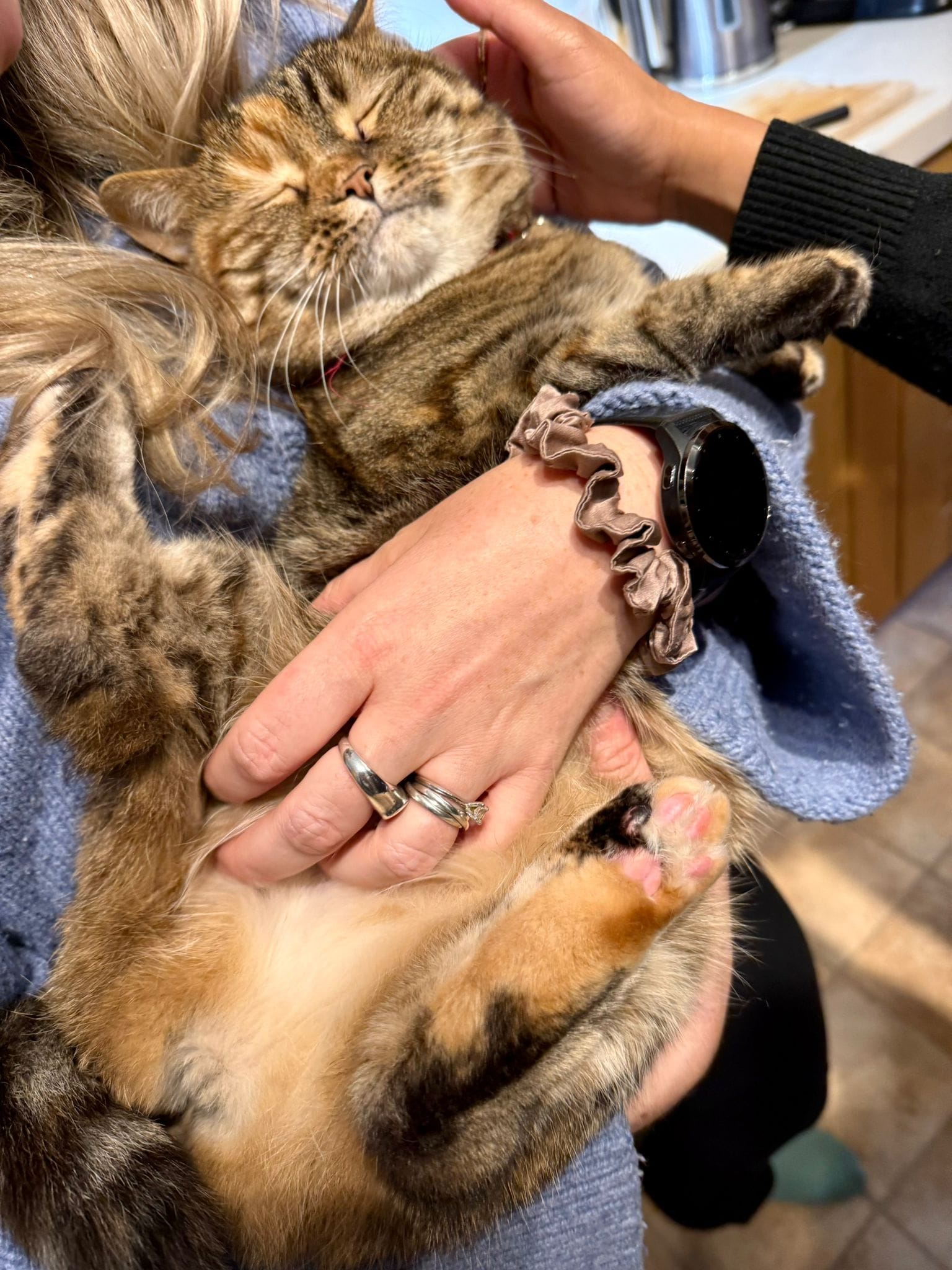 Conscious Leadership] 'Gather' Retreat - The Architecture of Belonging: On Community and the Future We’re Building (Oct 18, 2025)