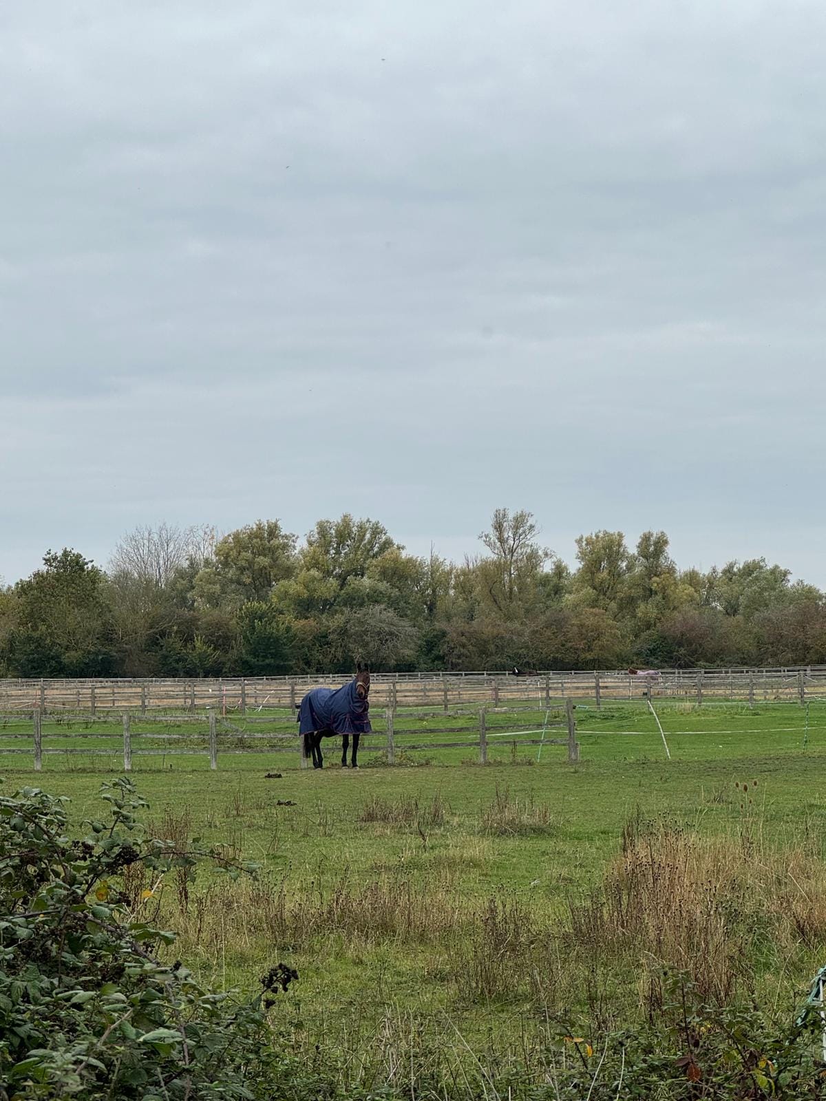Conscious Leadership] 'Gather' Retreat - The Architecture of Belonging: On Community and the Future We’re Building (Oct 18, 2025)
