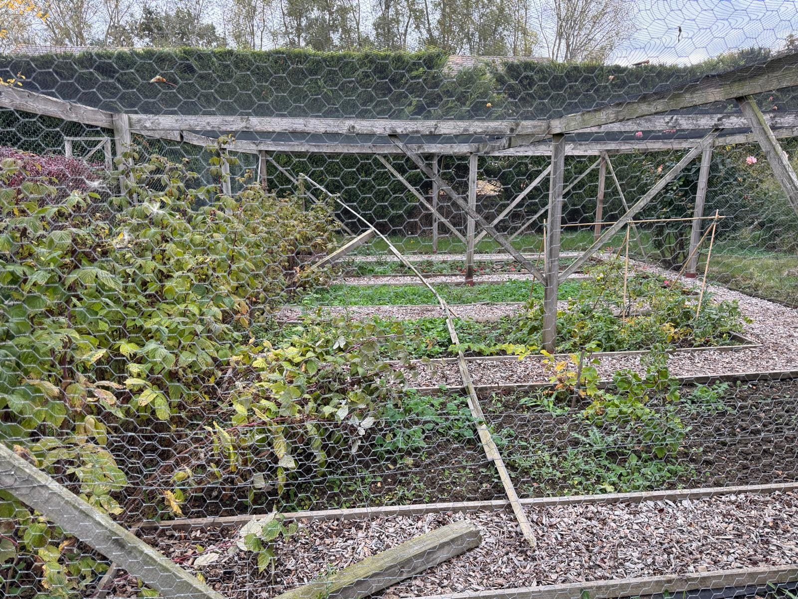 Conscious Leadership] 'Gather' Retreat - The Architecture of Belonging: On Community and the Future We’re Building (Oct 18, 2025)