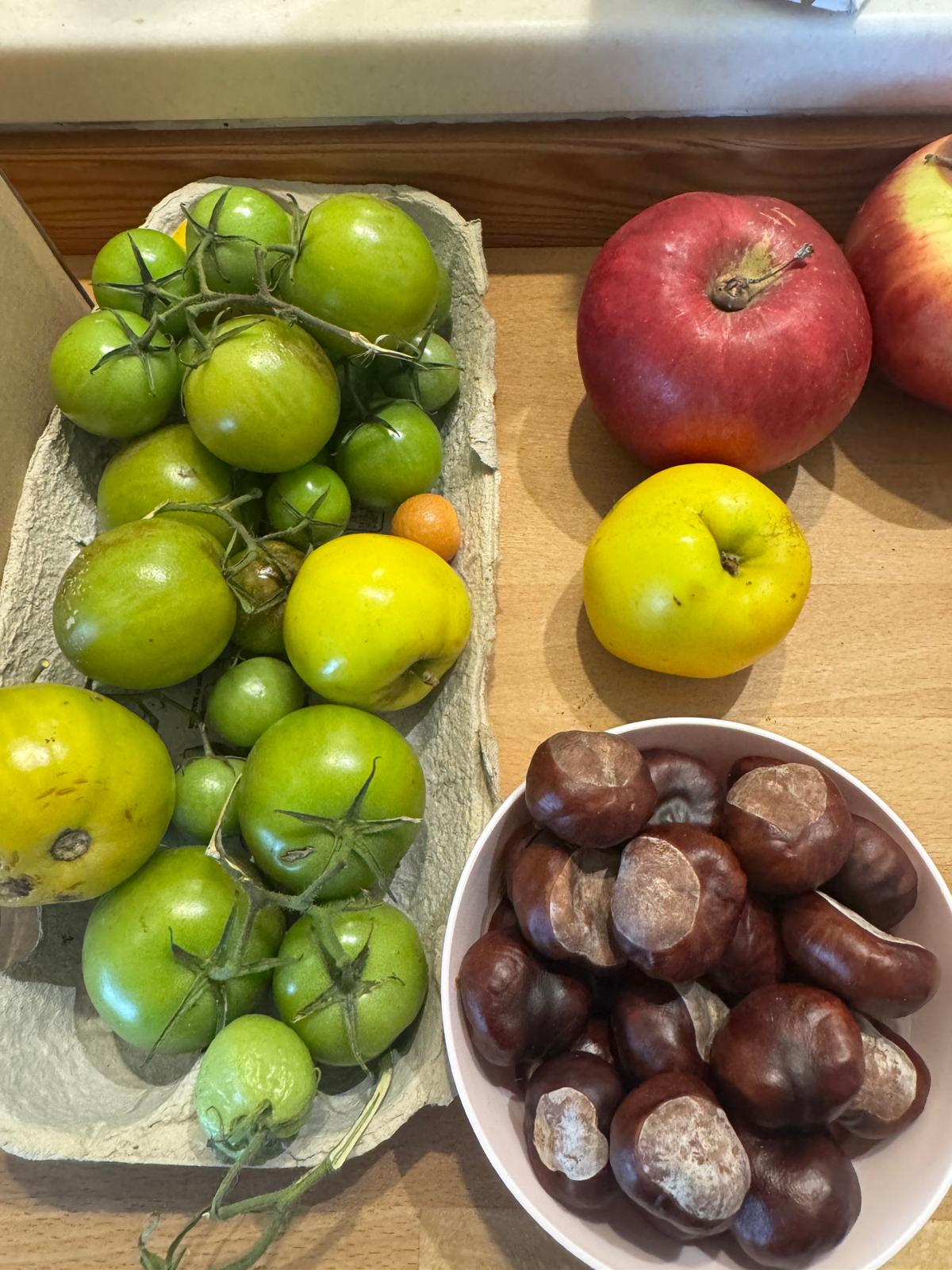 Conscious Leadership] 'Gather' Retreat - The Architecture of Belonging: On Community and the Future We’re Building (Oct 18, 2025)