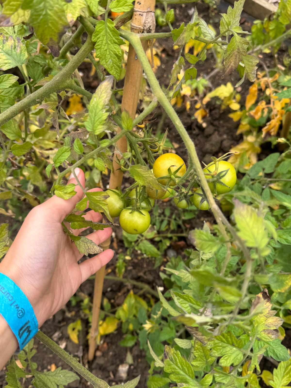 Conscious Leadership] 'Gather' Retreat - The Architecture of Belonging: On Community and the Future We’re Building (Oct 18, 2025)