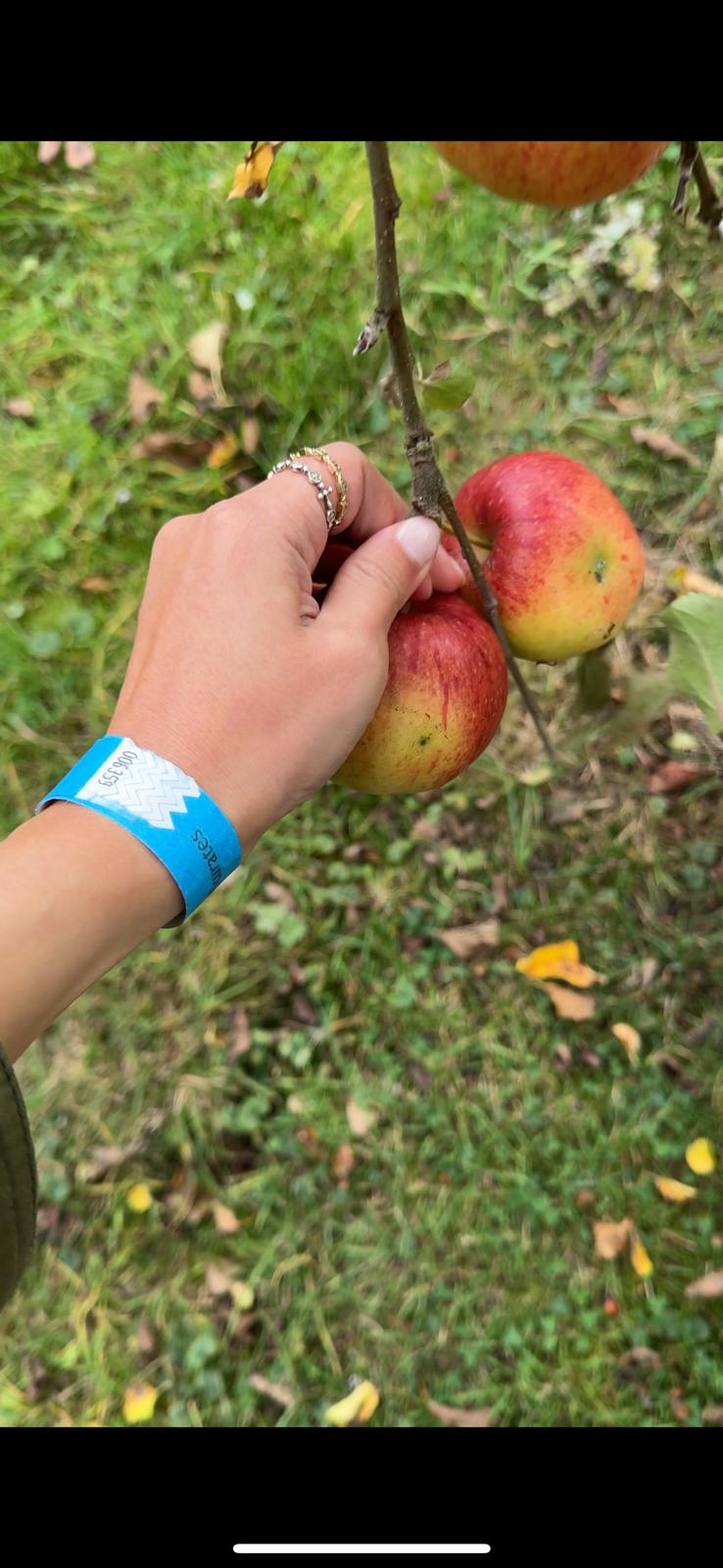 Conscious Leadership] 'Gather' Retreat - The Architecture of Belonging: On Community and the Future We’re Building (Oct 18, 2025)