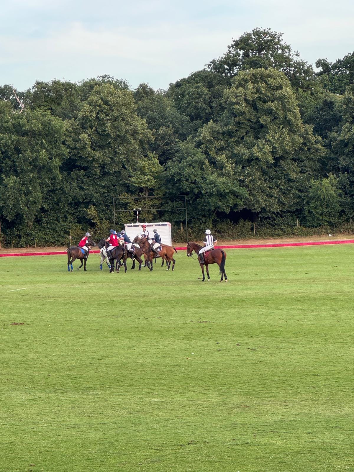 Conscious Leadership]🐴What Horses Taught Me About Leadership