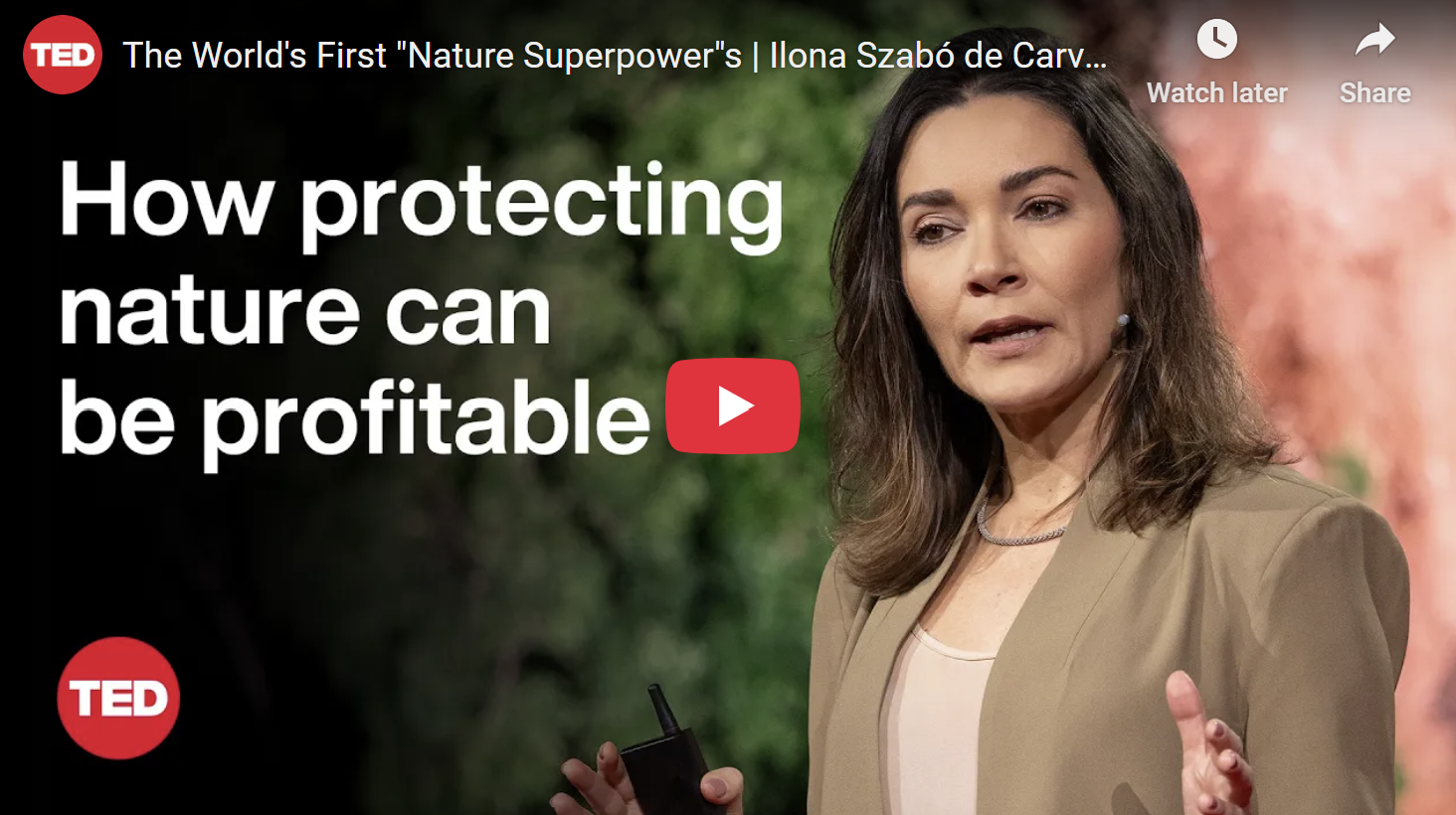 Sustainable/Impact Investing] How Protecting Nature Becomes Profitable: Ilona Szabó on Brazil’s Nature Superpower